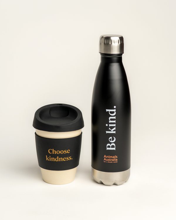 Black drink bottle with 'Be kind' and the AA logo, next to reusable coffee cup with 'Choose kindness' printed on the black band in the middle of the cup.